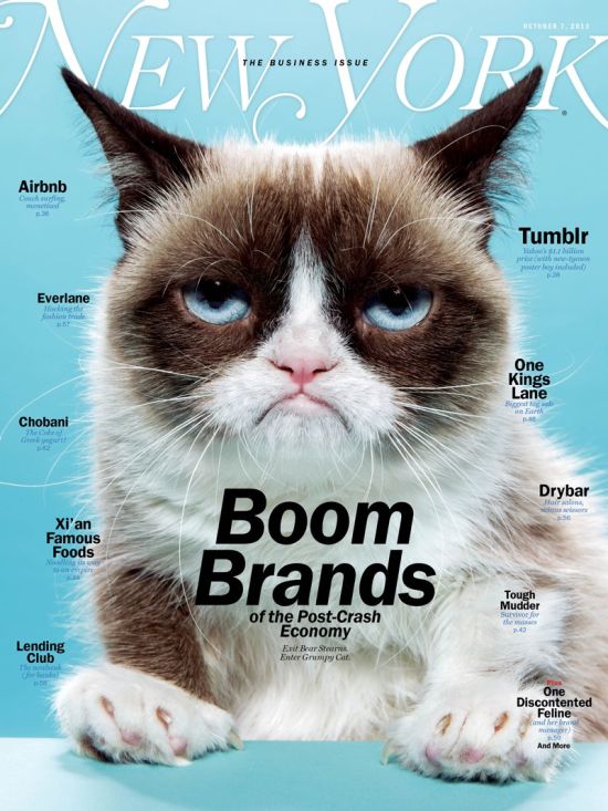 Grumpy Cat -   100 