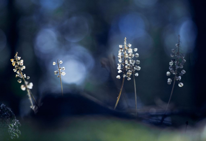  Outdoor Photographer of the Year 2014