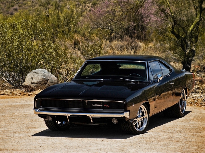 Muscle Cars ( 2)