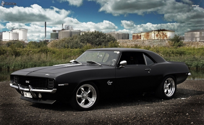 Muscle Cars ( 2)