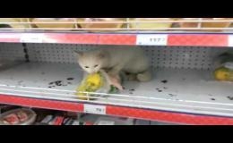 Случай в супермаркете