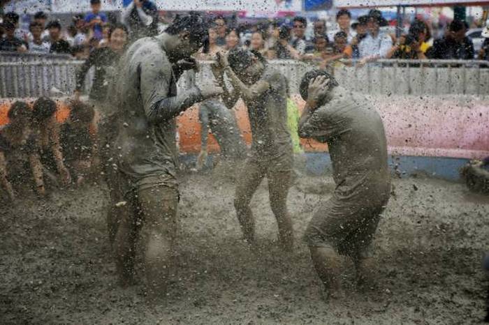 Boryeong Mud Festival -     