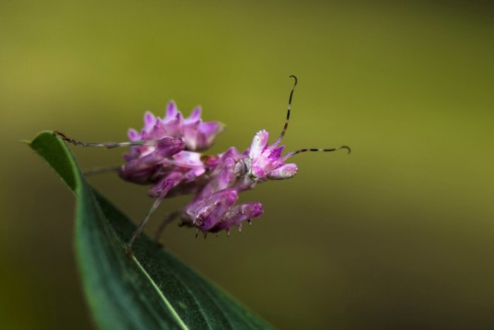 National Geographic Photo Contest 2015