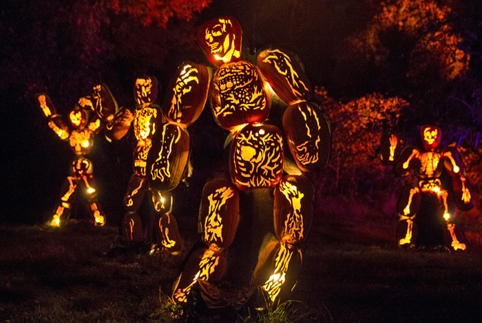  Great Jack O' Lantern Blaze