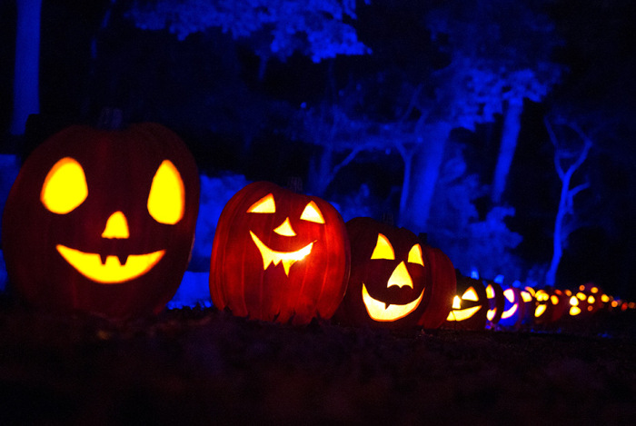  Great Jack O' Lantern Blaze