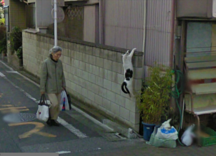    Google Street