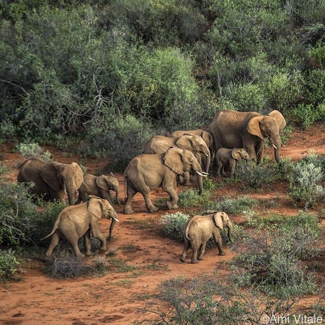   National Geographic  Instagram