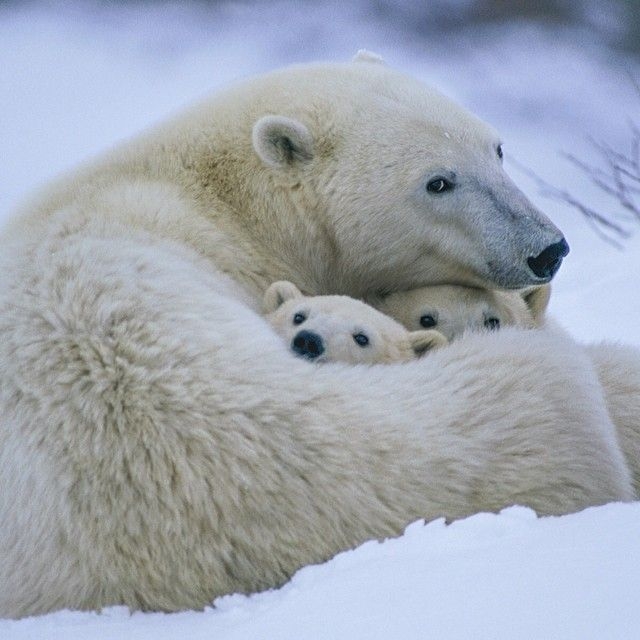   National Geographic  Instagram