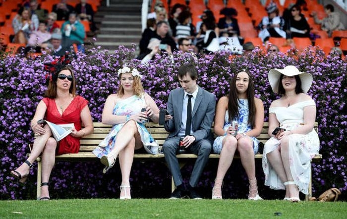   Geelong Cup