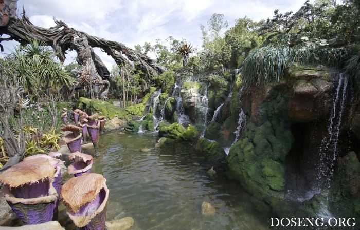   Pandora World of Avatar land  Disney World