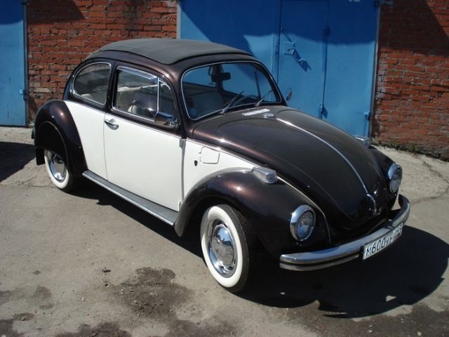   Volkswagen Beetle