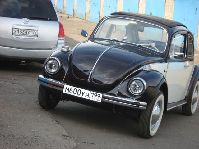   Volkswagen Beetle