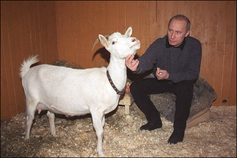 Путин, Жириновский и Зюганов во всей своей красе :)