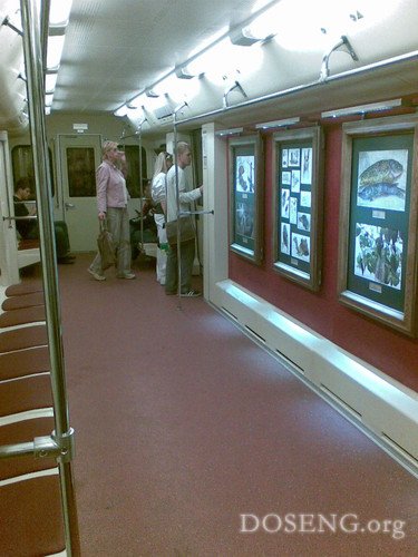 Поезд метро в Москве