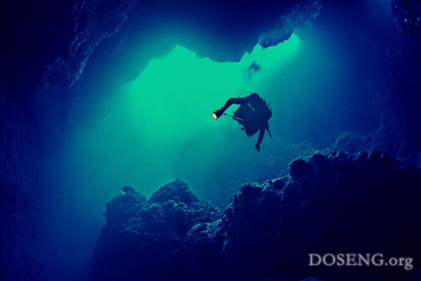 Загадочный подводный мир (21 фото)