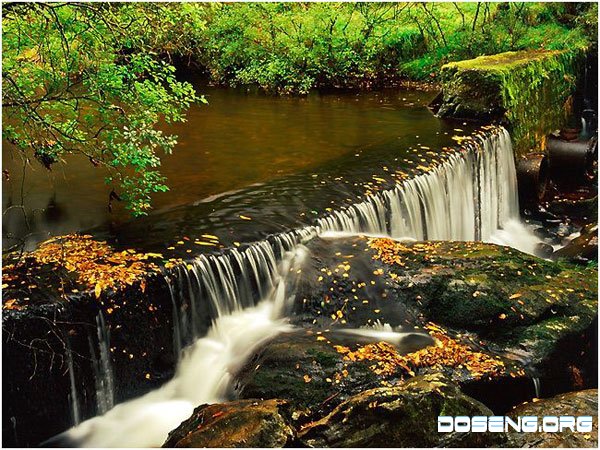 Природа Шотландии (10 фото)