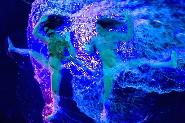 Fuerzabruta   (9 )