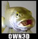 OWN3D