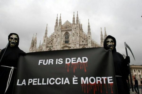 Протест организации PETA в Милане (8 фото)