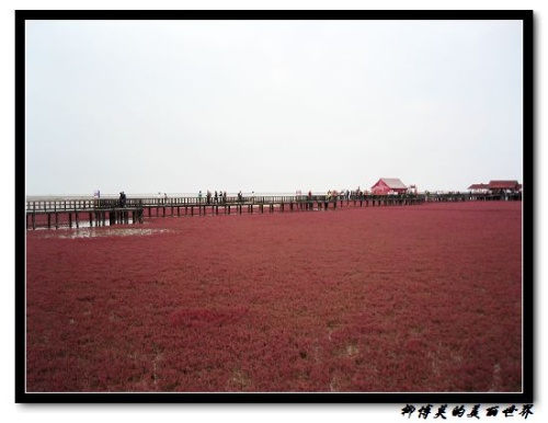 Красная песчаная отмель в Китае (9 фото)