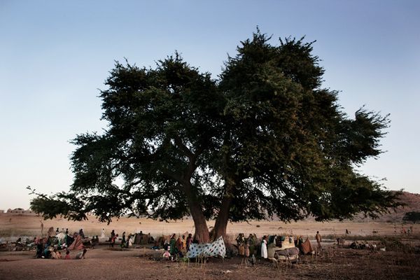   International Photography Awards 2007 (52 )