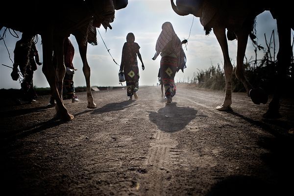   International Photography Awards 2007 (52 )