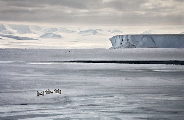   International Photography Awards 2007 (52 )