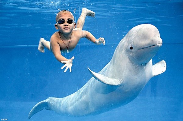 4х-летний мальчик в компании кита