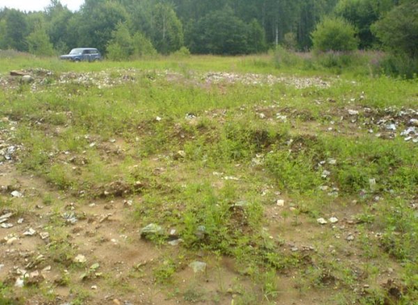 Под Костромой найдено кладбище советских денег