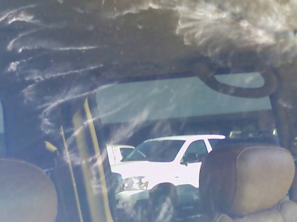 Загадочный отпечаток птицы на стекле машины (4 фото)