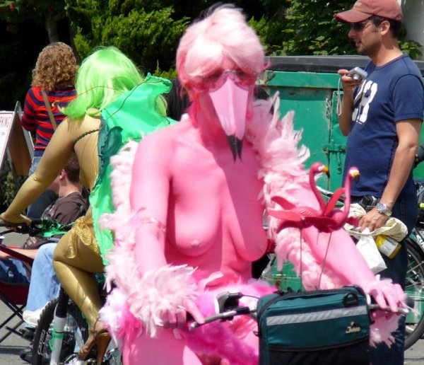 Парад Фламинго