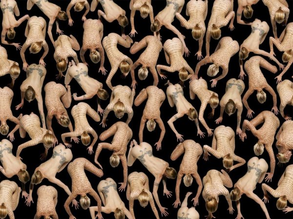  Claudia Rogge (16 )