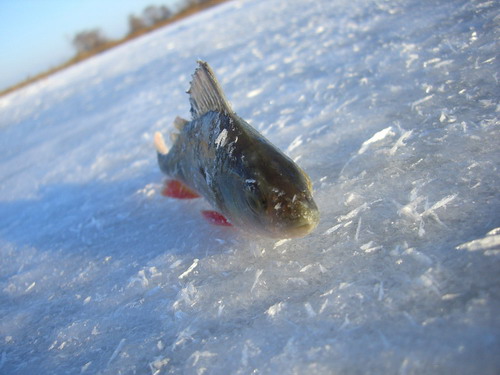 Зимняя рыбалка (6 фото)