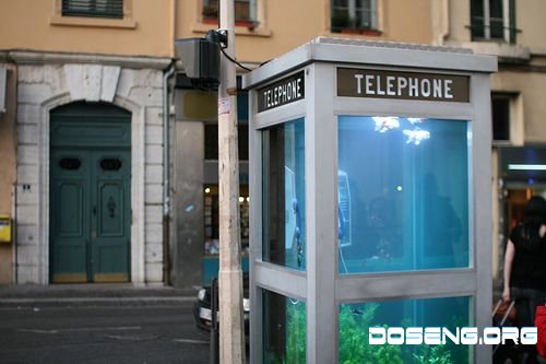 Телефон-аквариум (2 фото)