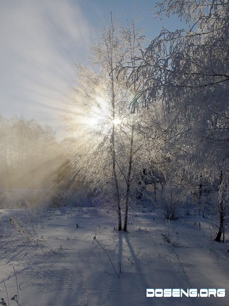 Впечатляющие фотографии зимы. Фотограф Михаил Ткачев (34 фото)