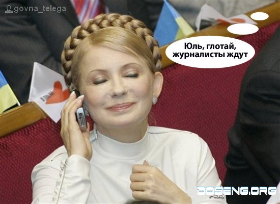Фотожаба на Тимошенко (30 работ)