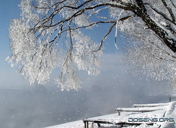 Впечатляющие фотографии зимы. Фотограф Михаил Ткачев (34 фото)