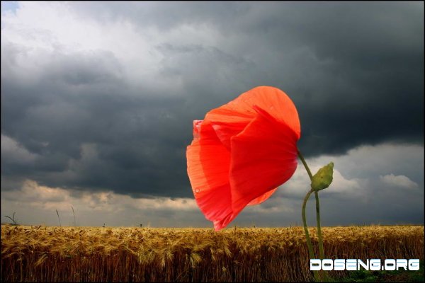    Veronika Pinke