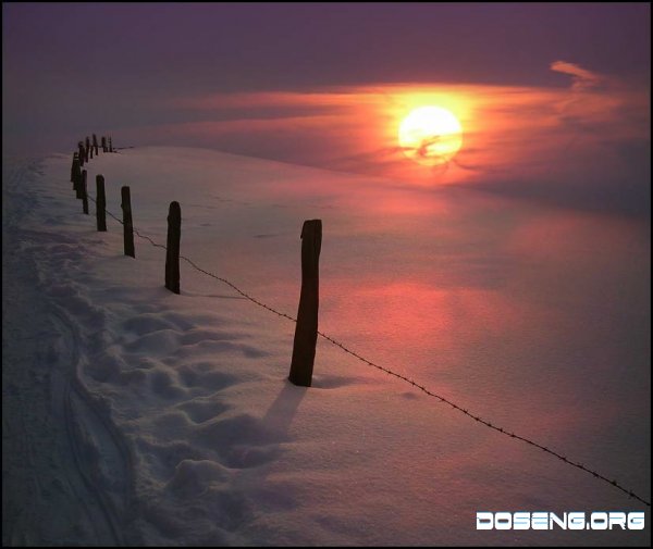    Veronika Pinke