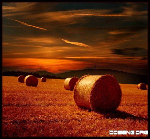    Veronika Pinke