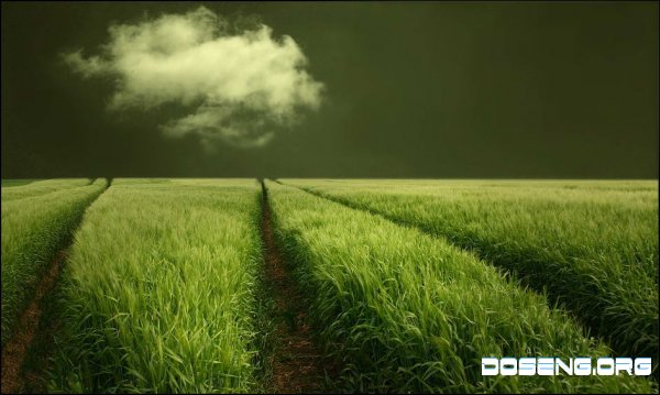    Veronika Pinke