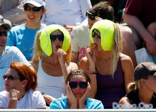   Australian Open 2008 (6 )