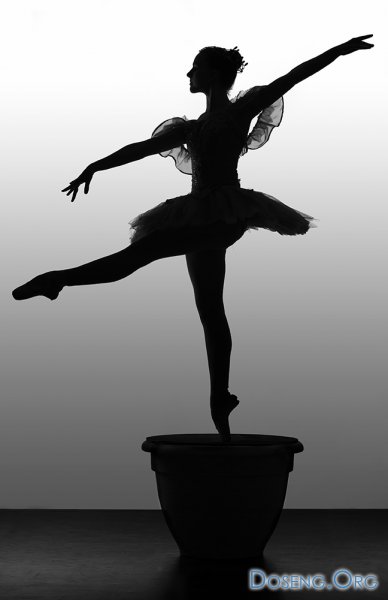   Richard Calmes (37 )