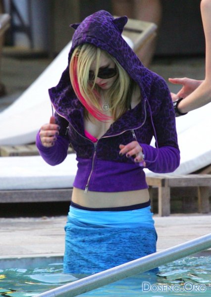 Avril Lavigne   (16 )