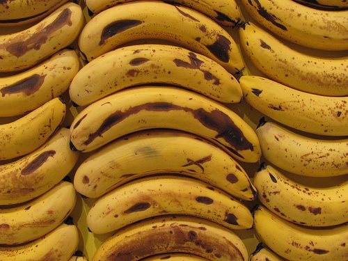 7200 бананов в скульптуре от Stefan Sagmeister (8 фото)