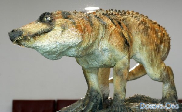 Найдены останки предка современного крокодила (4 фото)