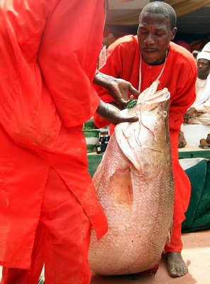 А так рыбачат в Нигерии