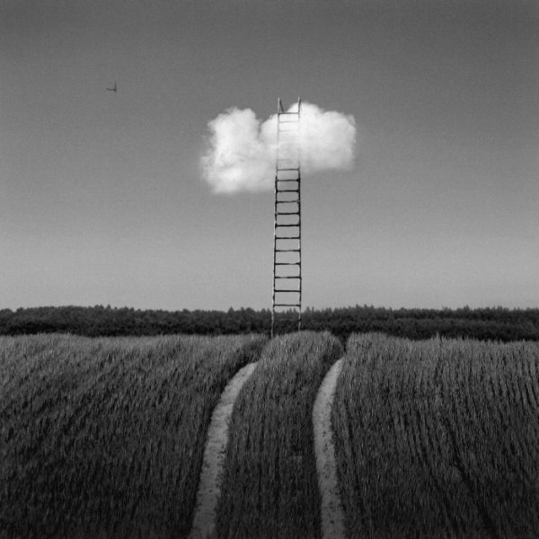  Dariusz Klimczak (62 )