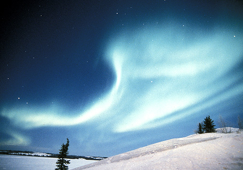    Paul Nicklen (19 )