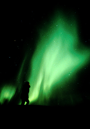    Paul Nicklen (19 )